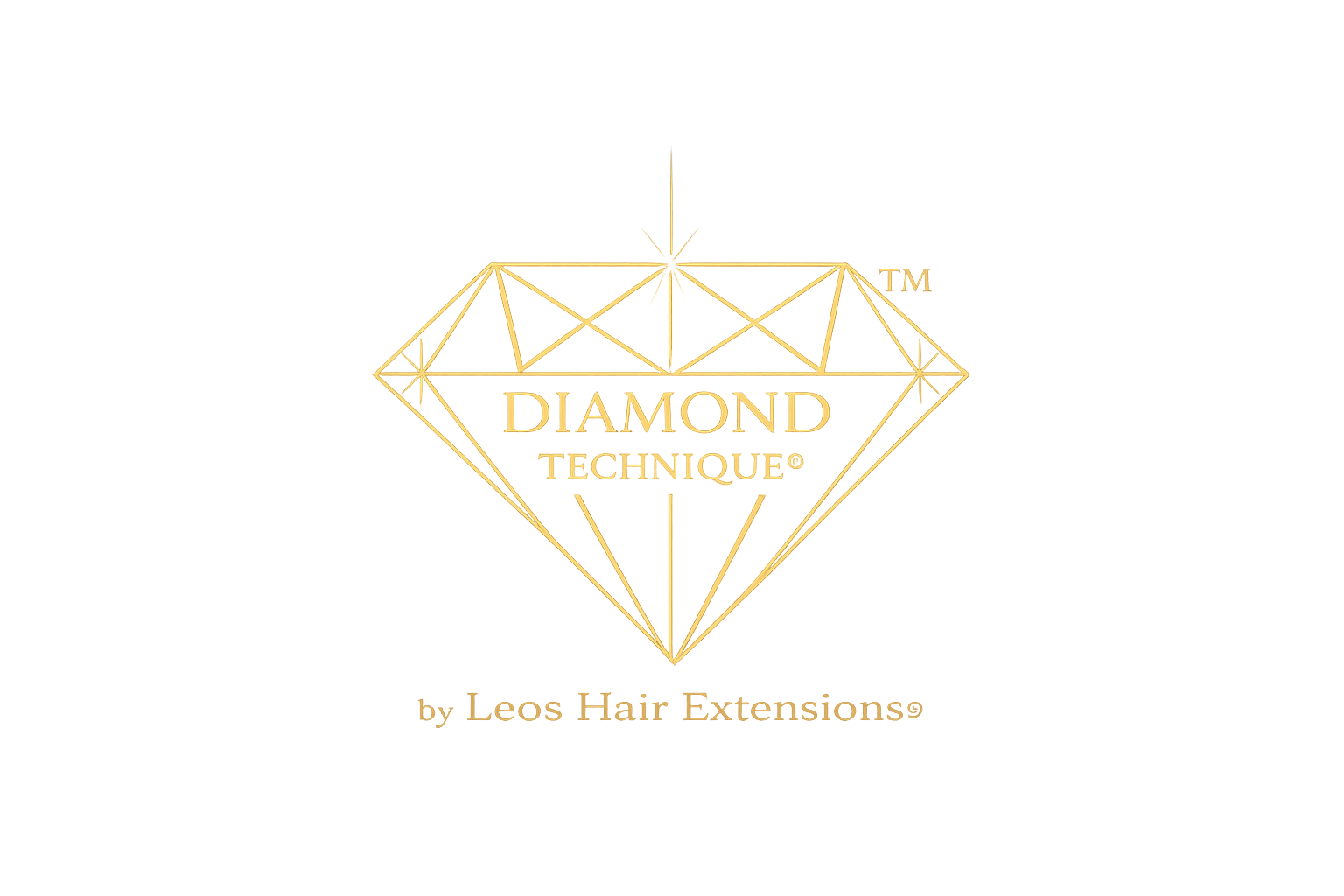 Diamond Technique™ — Leo's Hair Extensions